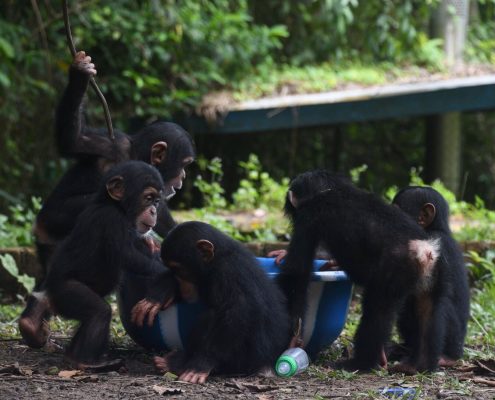 Playtime withBubbles_preview