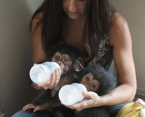 fullsizeoutput_169a_preview