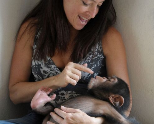 fullsizeoutput_16a4_preview