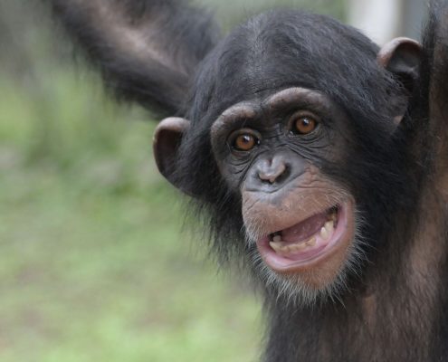 fullsizeoutput_2634_preview