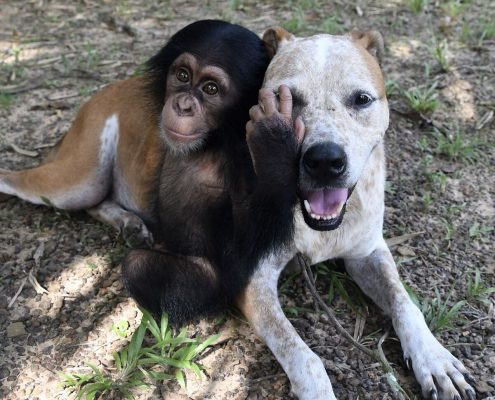 fullsizeoutput_2f40_preview