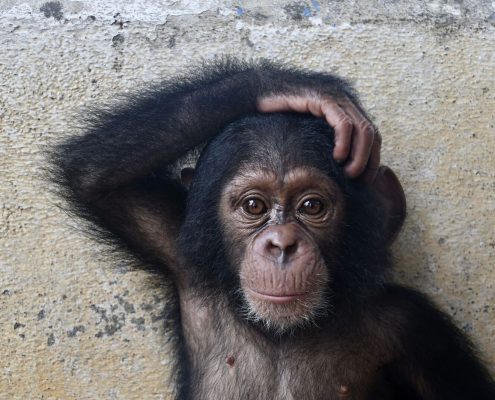 fullsizeoutput_353b_preview