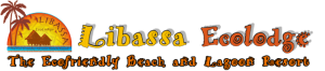 Libassa Logo